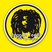 Reggae Seeds Semillas de Marihuana Regulares