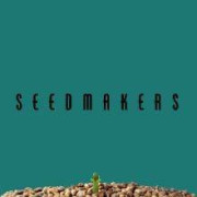 Seedmakers Semillas de Marihuana Autoflorecientes