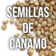 Comprar Semillas de Cáñamo Certificadas - Las Mejores - SLC