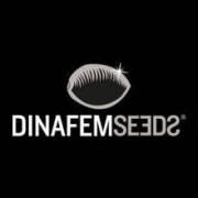 Dinafem Semillas De Marihuana - EL MEJOR PRECIO