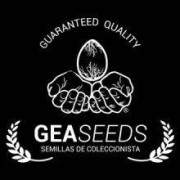 GeaSeeds Autoflorecientes - Semillas a 1€ - Envío 24H - OFERTA SLC
