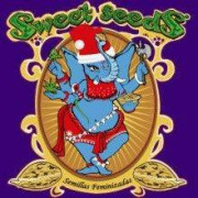 Sweet Seeds Semillas De Marihuana - PRECIO BAJO