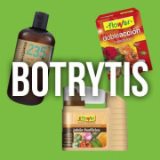 Eliminar la Botrytis del cultivo - EL MEJOR PRECIO