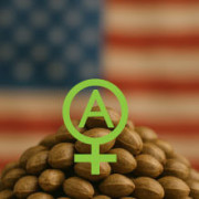 Comprar Semillas Americanas Autoflorecientes - Las Mejores Marcas