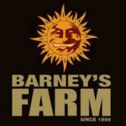 Barney's Farm Semillas De Marihuana Autoflorecientes - MAS BARATO