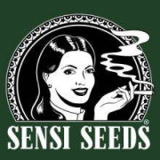 Semillas Regulares De Sensi Seeds - COMPRA AL MEJOR PRECIO