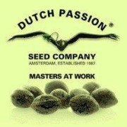 Semillas De Marihuana regulares  Dutch Passion - PRECIO BAJO