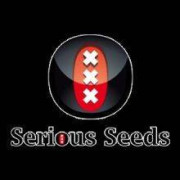 Serious Seeds Semillas De Marihuana Regulares - EL MEJOR PRECIO