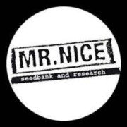 Mr.Nice - Banco de Semillas - Mejor Precio - Marihuana Premium