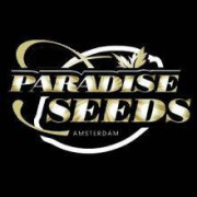 Paradise Seeds Feminizadas
