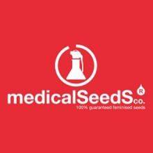 Medical Seeds Feminizadas