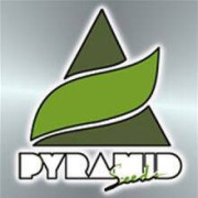 Pyramid Seeds Feminizadas