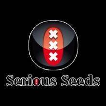 Serious Seeds Feminizadas