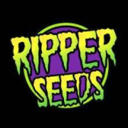 Ripper Seeds