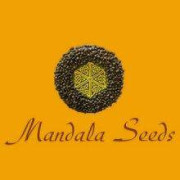Mandala Seeds
