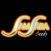 Samsara Seeds