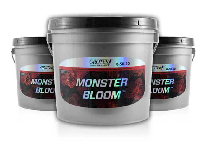 Monsterbloom Grotek