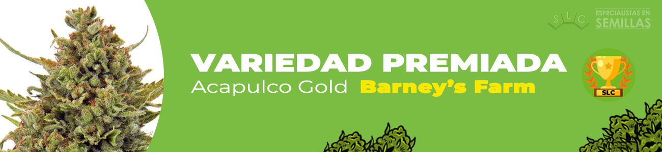 Acapulco Gold de Barney's Farm