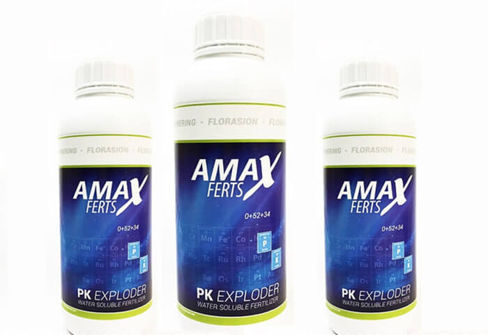 Amax PK Exploder