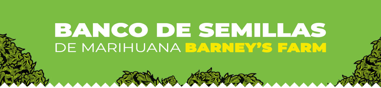 Banco Barneys Farm