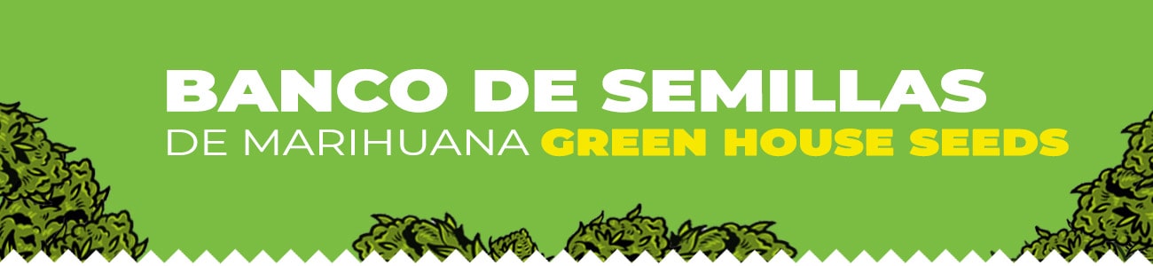 Banco Green House Seeds