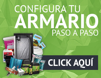 Presupuesto para un interior
