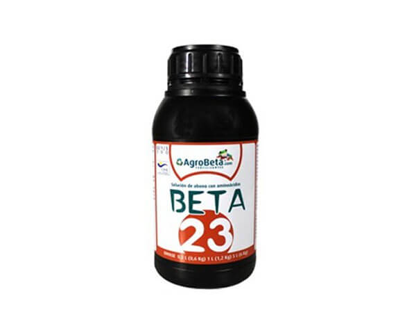 beta 23