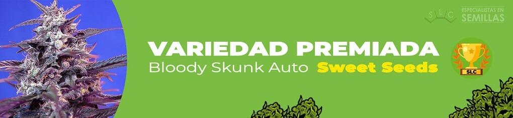 Bloody skunk auto de sweet seeds