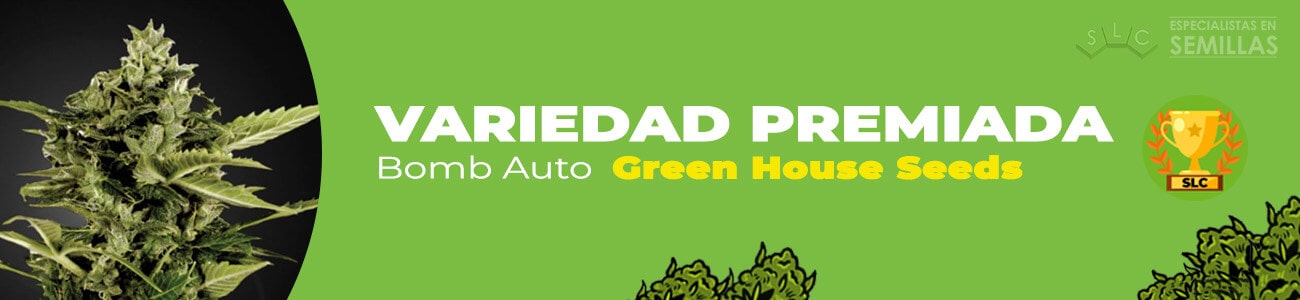 Bomb Autofloreciente de Green House Seeds