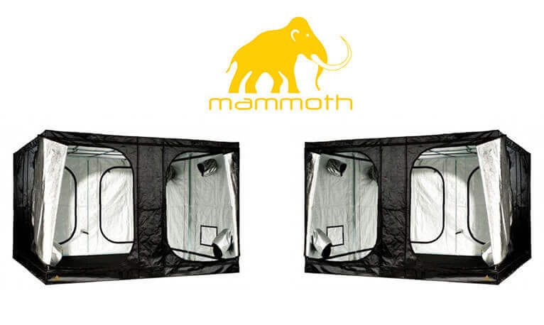 Armarios Mammoth