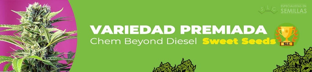 Chem beyond diesel de sweet seeds