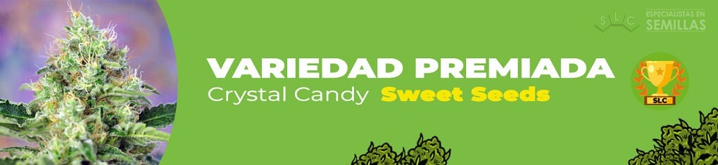 Crystal candy de sweet seeds