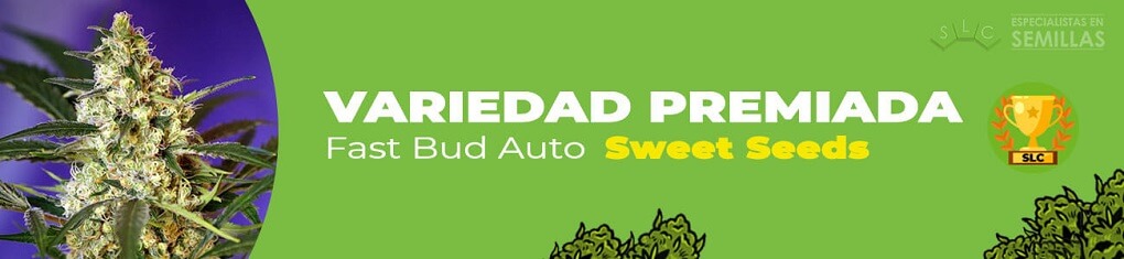 Fast bud auto de sweet seeds