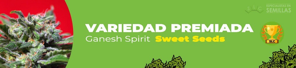 Ganesh spirit de sweet seeds