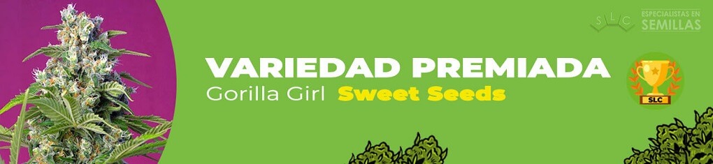 Gorilla girl de sweet seeds