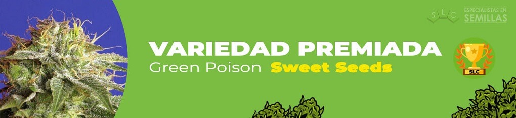 Green poison de sweet seeds