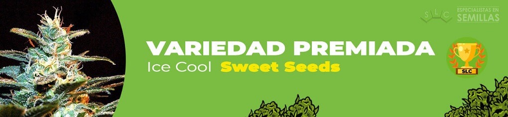 Ice cool de sweet seeds