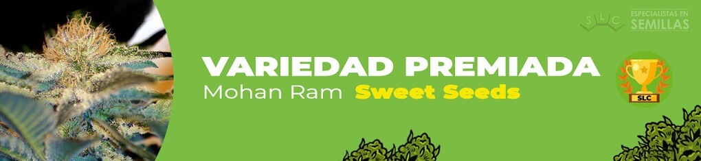 Mohan ram de sweet seeds