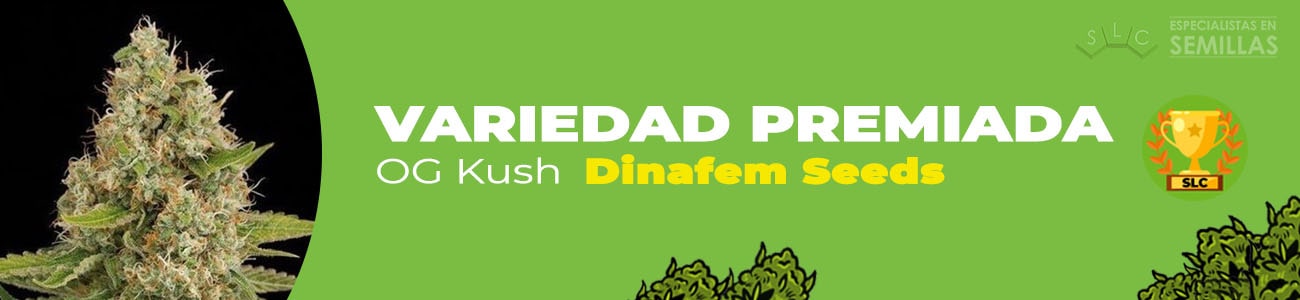 OG Kush de Dinafem Seeds