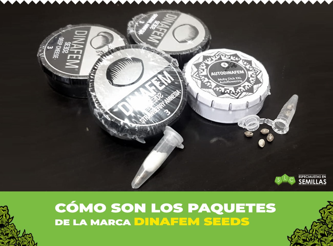 Paquete de semillas Dinafem Seeds