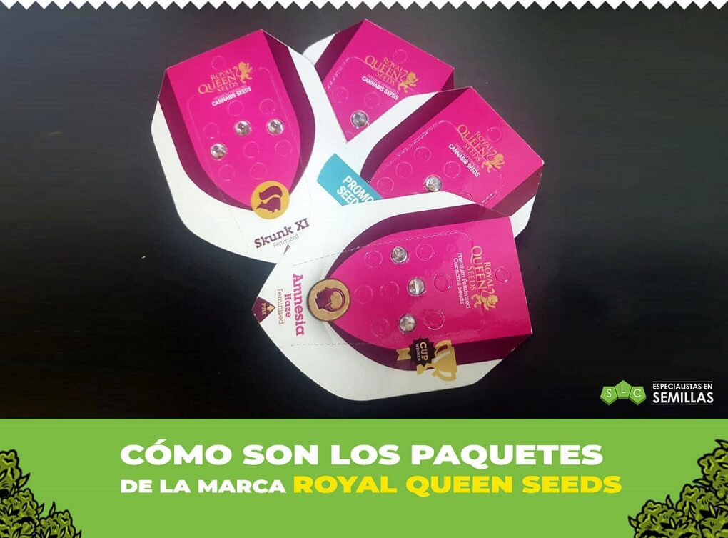 Empaquetado Royal Queen Seeds