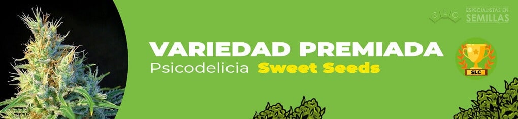 Psicodelicia de sweet seeds