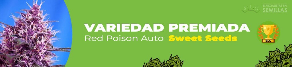 Red poison auto de sweet seeds