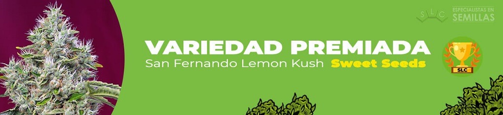 San fernando lemon kush de sweet seeds
