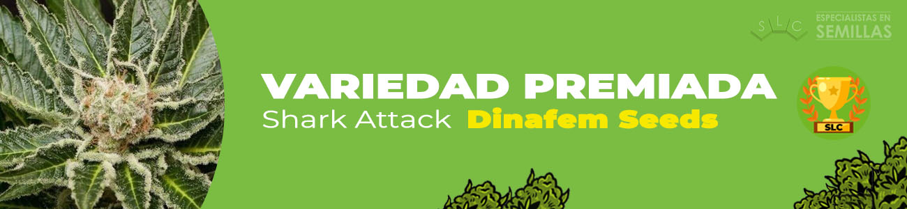 Shark Attack de Dinafem Seeds