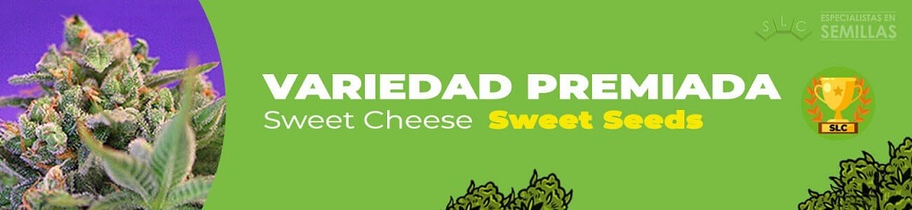 Sweet cheese de sweet seeds