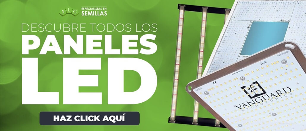 Mejores LEDs de cultivo