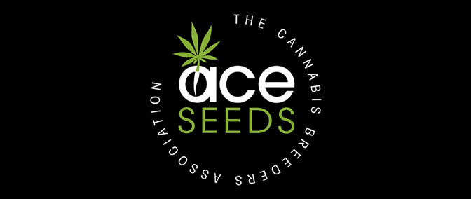 Opiniones del banco Ace Seeds