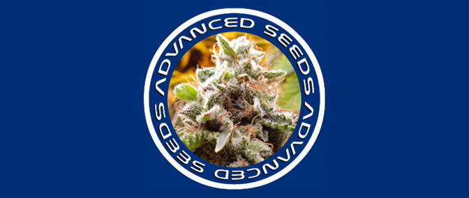 Opiniones del banco Advanced Seeds