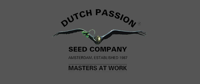 Opiniones del banco Dutch Passion